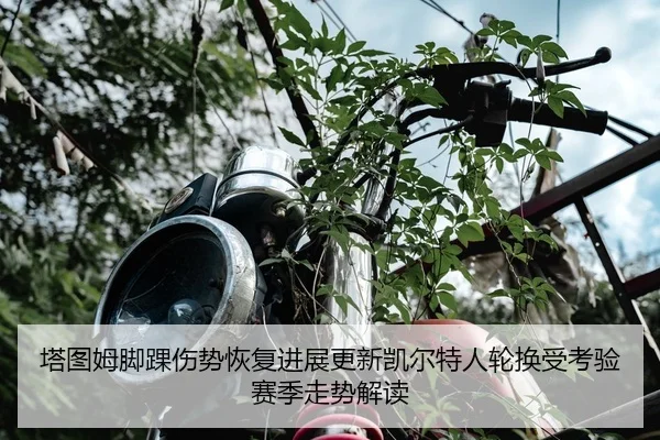 塔图姆脚踝伤势恢复进展更新凯尔特人轮换受考验赛季走势解读