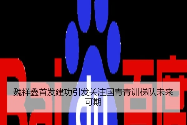 魏祥鑫首发建功引发关注国青青训梯队未来可期